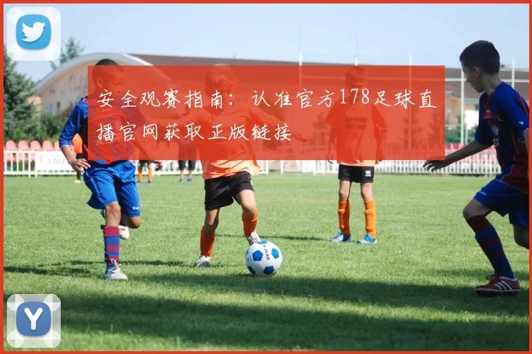 安全观赛指南：认准官方178足球直播官网获取正版链接