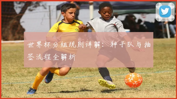 世界杯分组规则详解：种子队与抽签流程全解析
