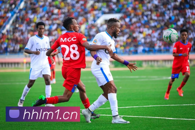 App Interface Preview